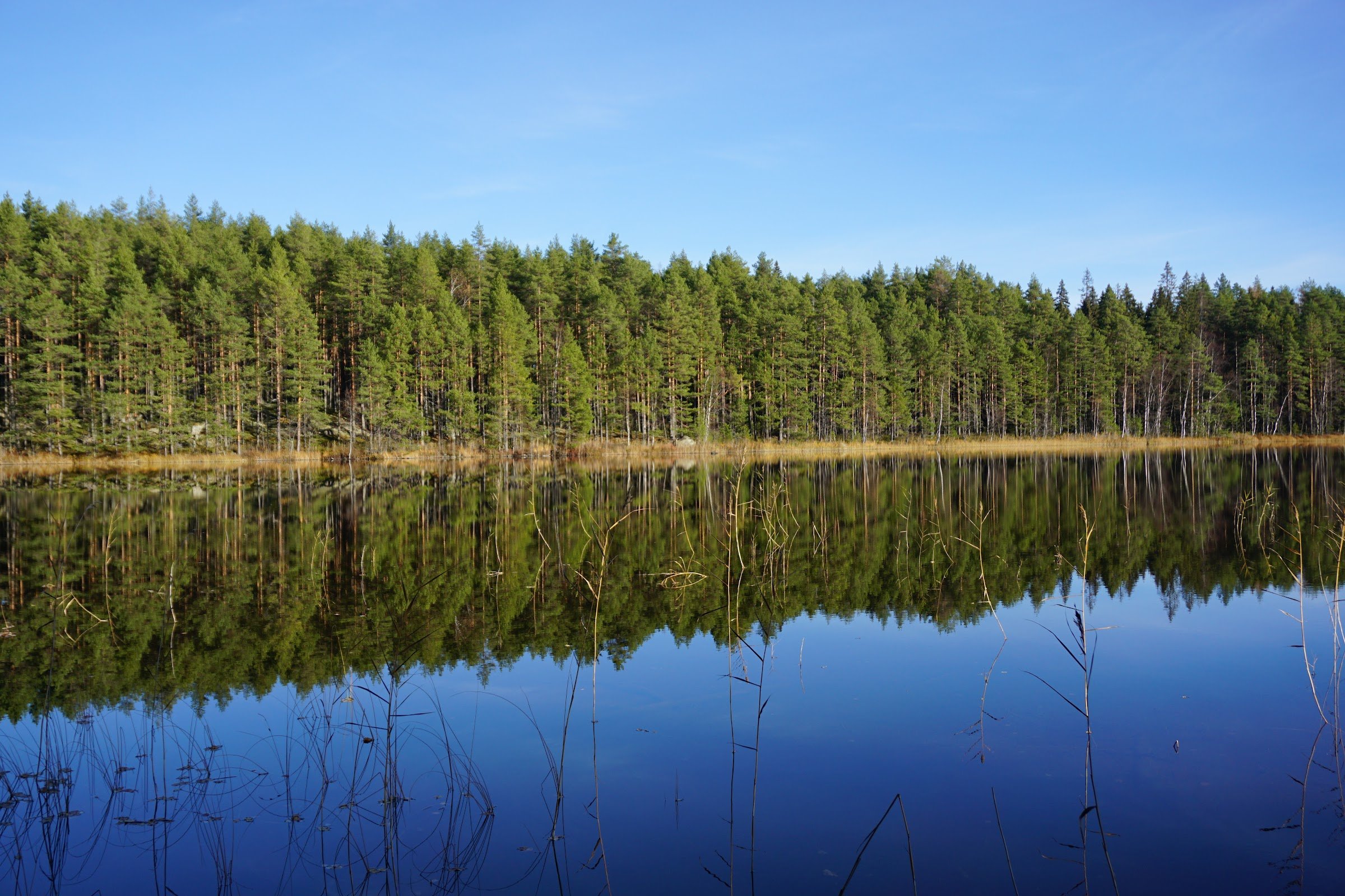 Heisanharju Ridge (Heisanharjun luonnonsuojelualue)